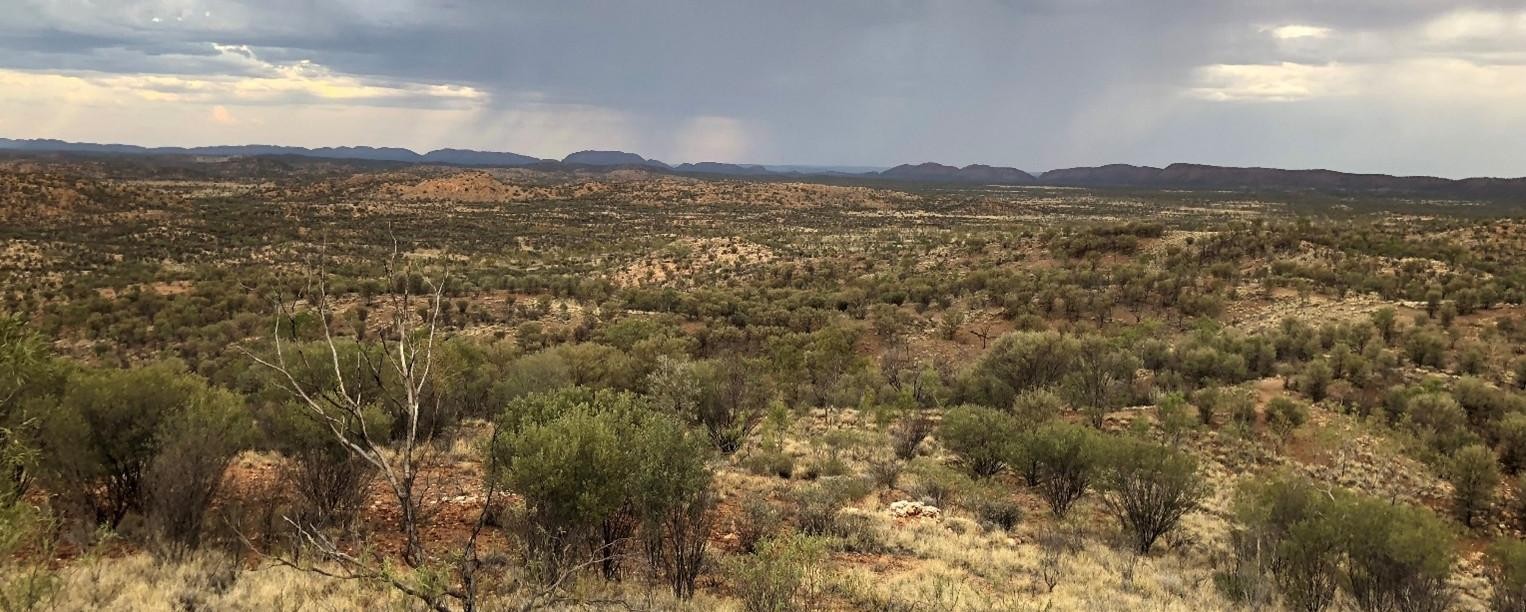 Alice Springs Flood Mitigation Project