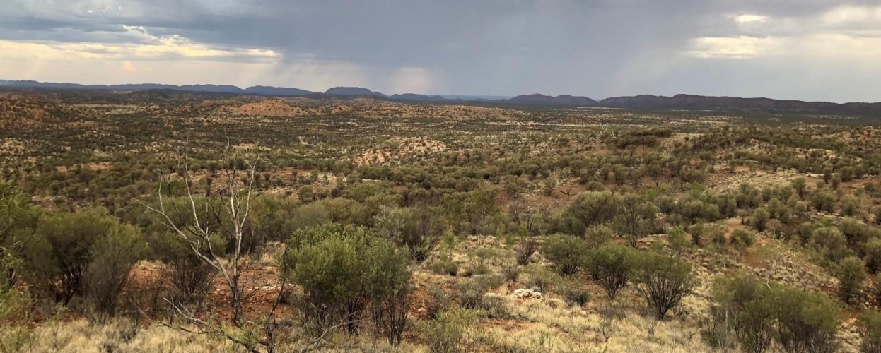 Alice Springs Flood Mitigation Project